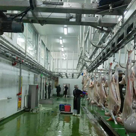 Lamb Processing Plant for HaiDiLao Hotpot