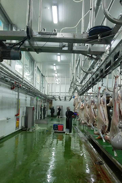 Lamb Processing Plant for HaiDiLao Hotpot