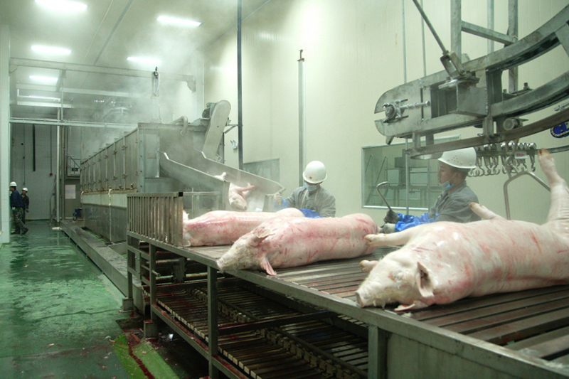 Pig Processing Plant for Chaishan Foods
