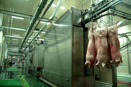 Pig Processing Plant for Chaishan Foods