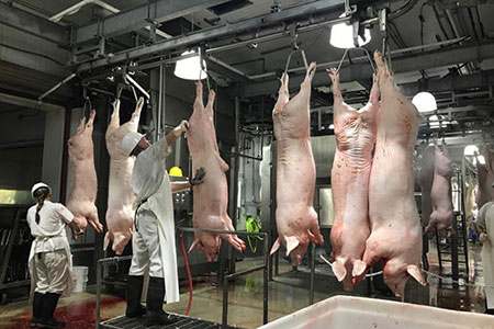 Pig Processing Plant for Chaishan Foods