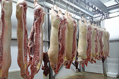 Carcass Processing